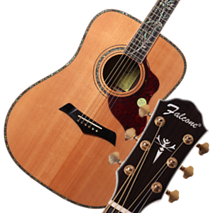 山东劳立斯世正乐器有限公司 吉他产品 富尔肯原声 FDG1000-NT 